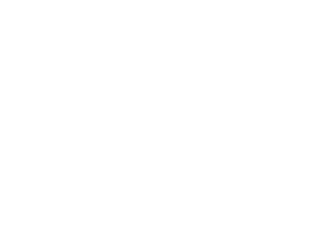 Background-white